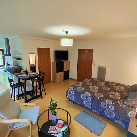 Lumineux Appartement Free Parking Nature Ville Tt Equipe Thann Exterior photo