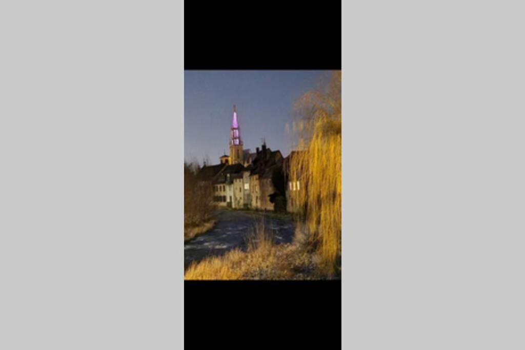 Lumineux Appartement Free Parking Nature Ville Tt Equipe Thann Exterior photo