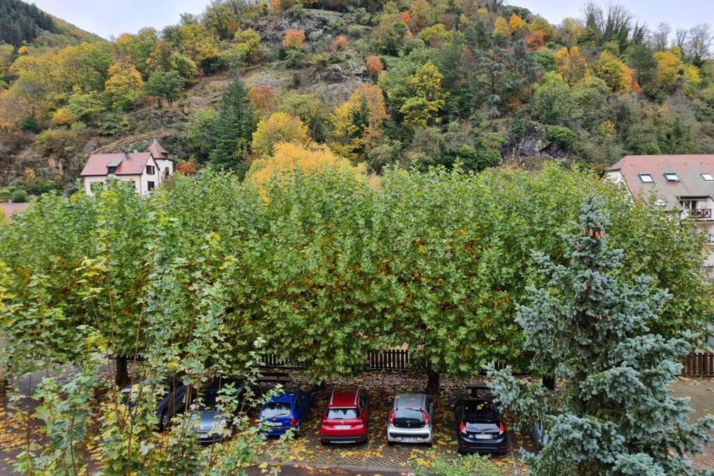 Lumineux Appartement Free Parking Nature Ville Tt Equipe Thann Exterior photo