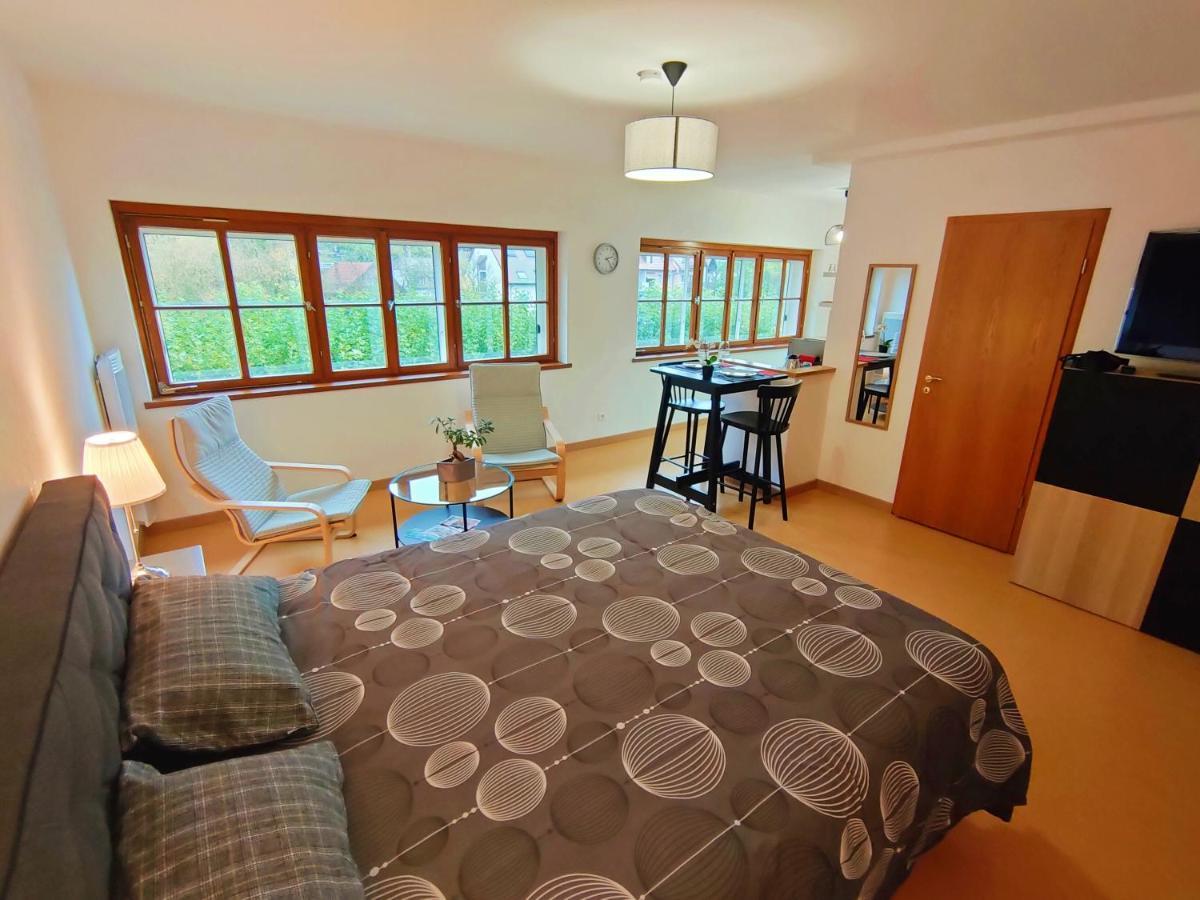 Lumineux Appartement Free Parking Nature Ville Tt Equipe Thann Exterior photo