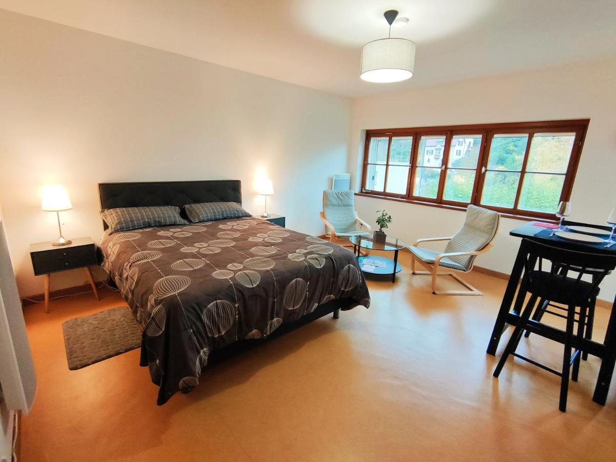 Lumineux Appartement Free Parking Nature Ville Tt Equipe Thann Exterior photo
